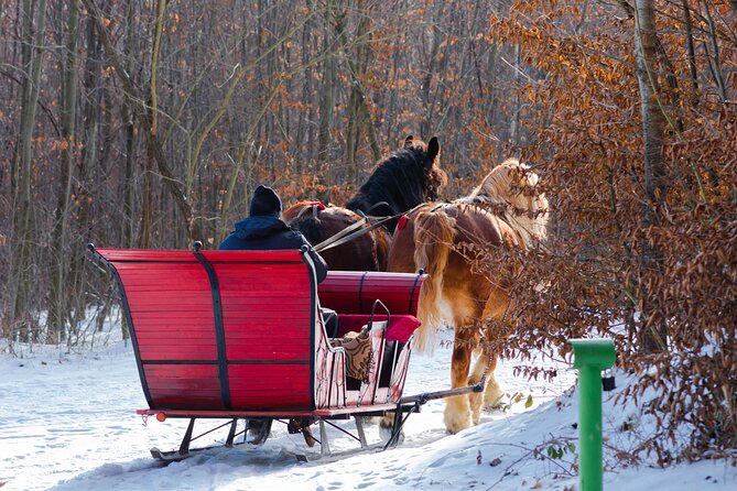 Zakopane Horse-Drawn Rides with Local Guide and Food Tasting - Timing, group size, and what the three hours mean