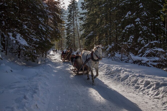 Zakopane Horse-Drawn Rides with Local Guide and Food Tasting - What the price is really buying