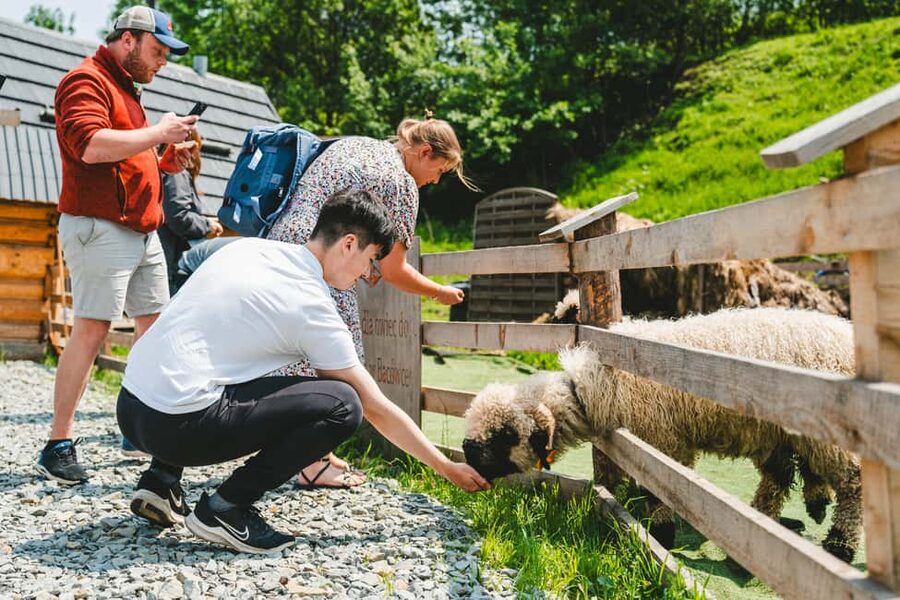 Zakopane & Tatra Mountains from Krakow – Guided Tour - Why Zakopane makes a good day trip from Krakow