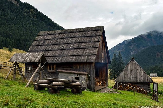 Zakopane & Thermal Springs: Private Tour - Three hours at Chochołowskie Thermal Baths