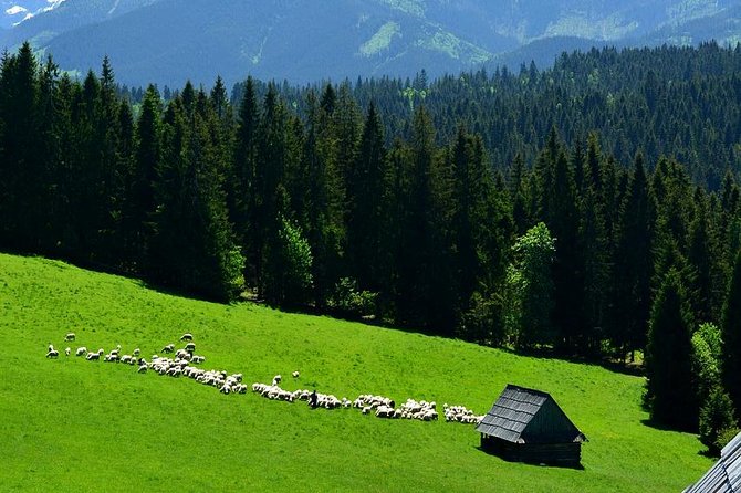 Zakopane Tour from Krakow – Highland Experience & Stunning Views - Chocholow and the wooden highland houses
