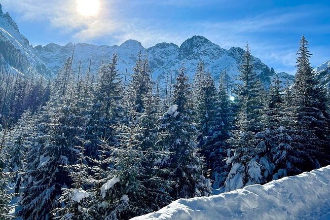 Zakopane Tour from Krakow with Thermal SPA and Hotel Pick up - How the guide and group setup affect the day